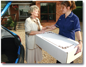 Pet Rest Products Animal Cardboard Coffin