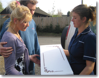 Pet Rest Products Animal Cardboard Coffin